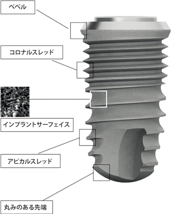 プレミアム　SP　SINUS